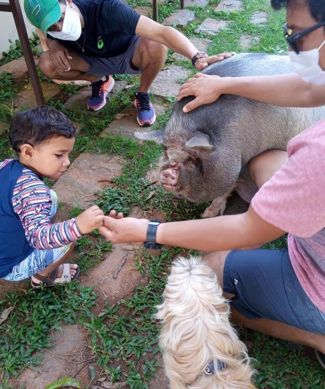Aldeia Parque Pousada Rural Sao Roque  Luaran gambar