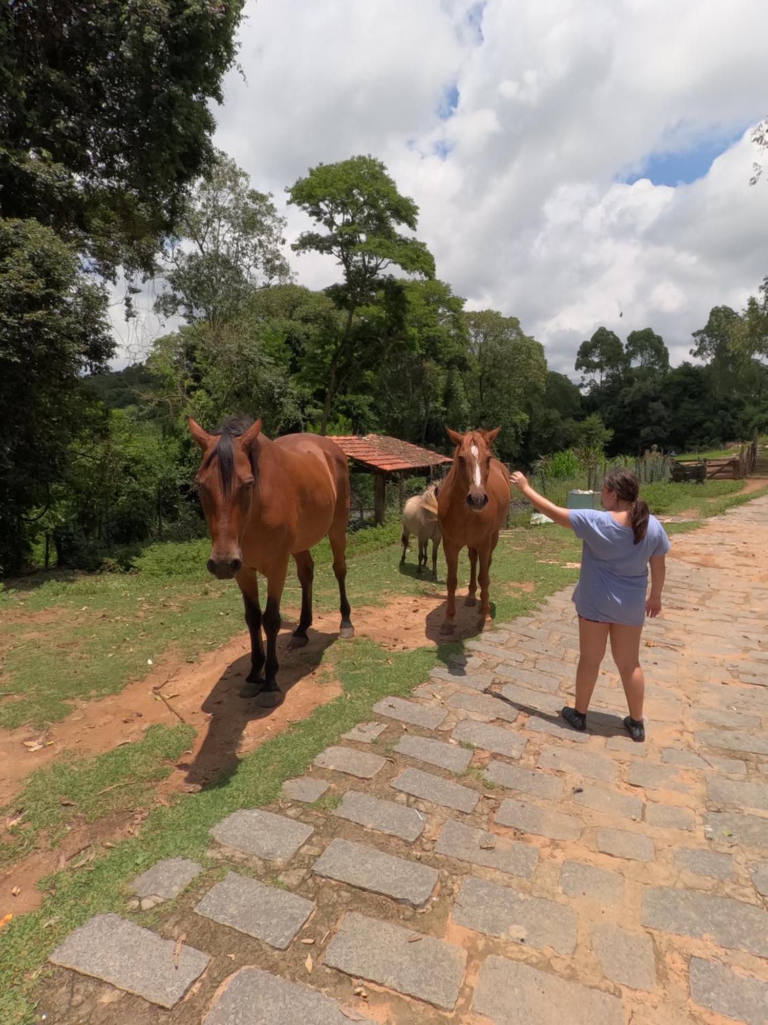 Aldeia Parque Pousada Rural Sao Roque  Luaran gambar